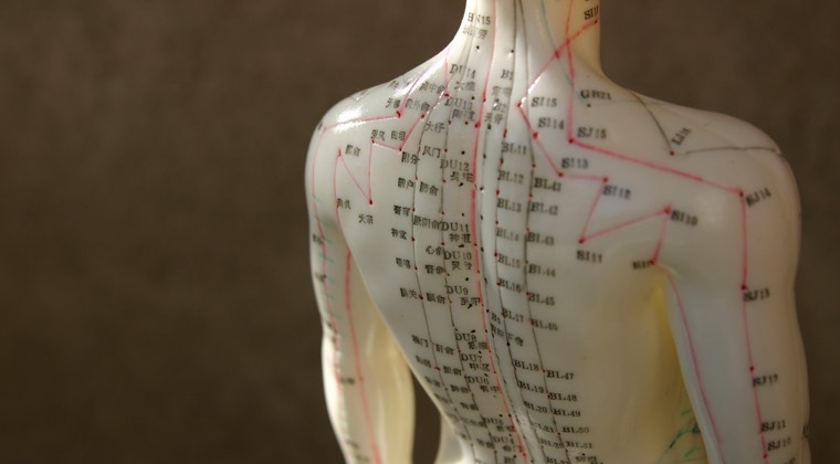 Human dummy with acupressure points marked up and down the spine and back